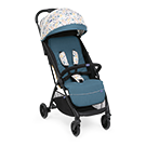 Kinderwagen und Buggys